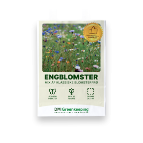 Engblomster blomsterfr�