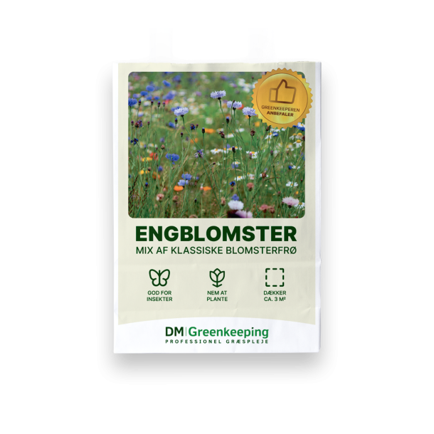 Engblomster blomsterfr�